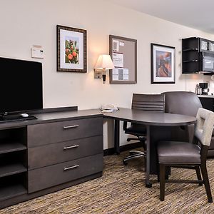 Studio Suite